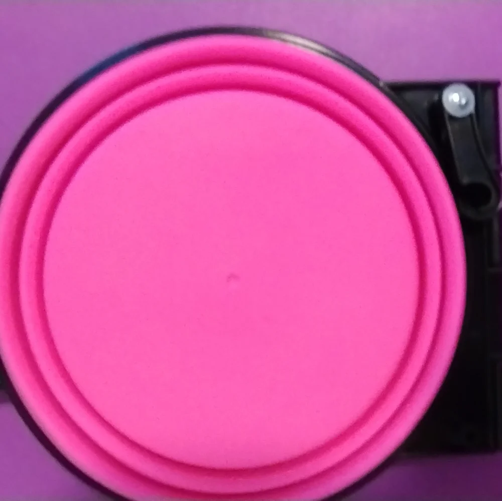 Collapsible double pet bowl